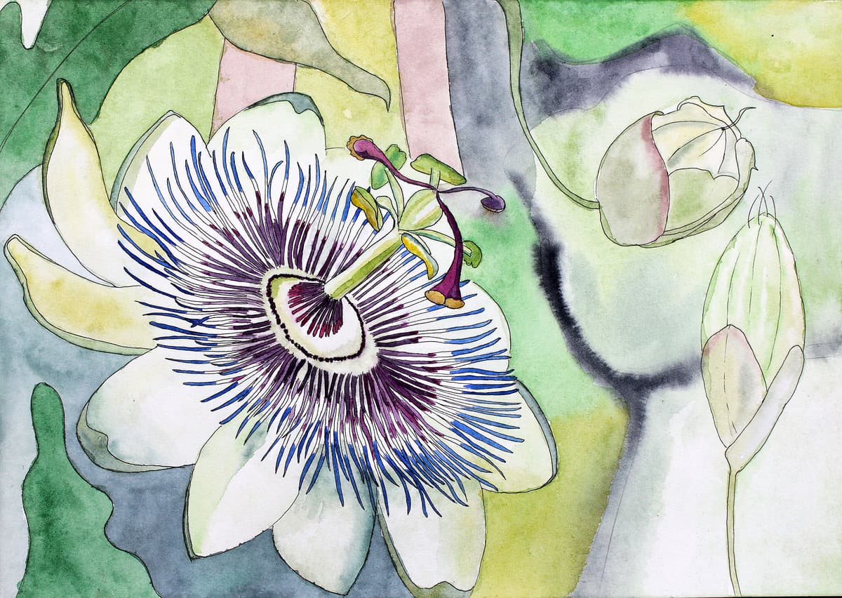 L'Ascension Solitaire