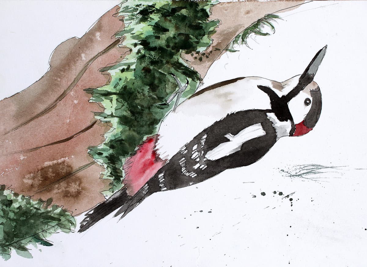 La Chevauchée du Geai