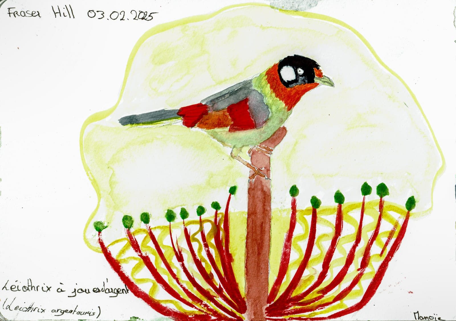 Illustration 10