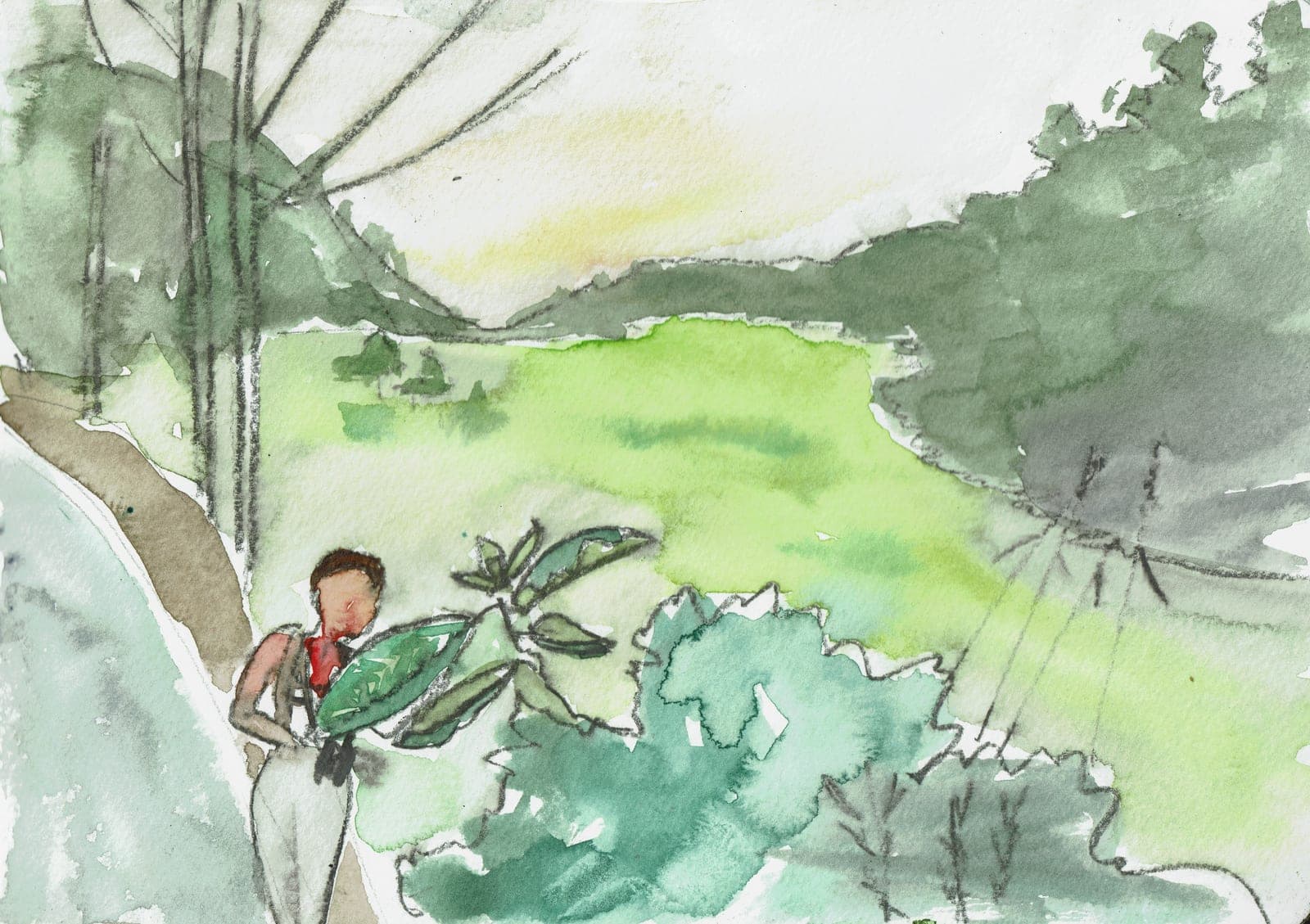 Illustration 11