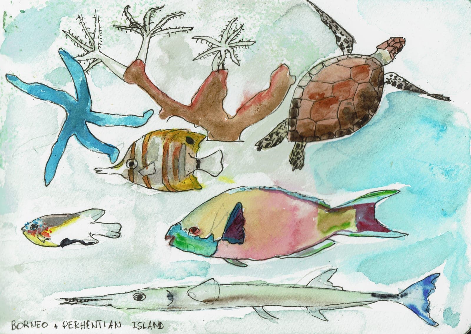 Illustration 42