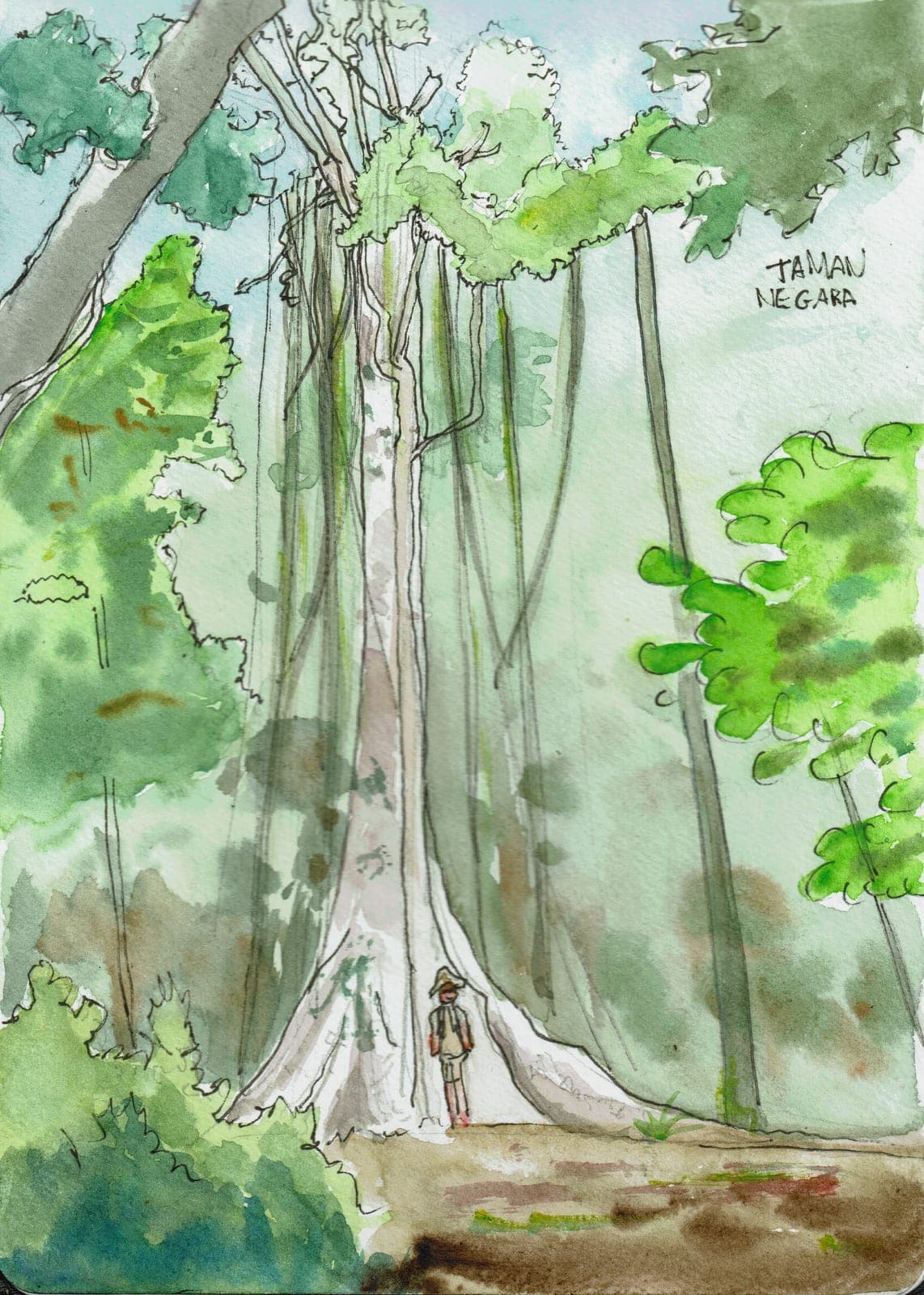 Illustration 51