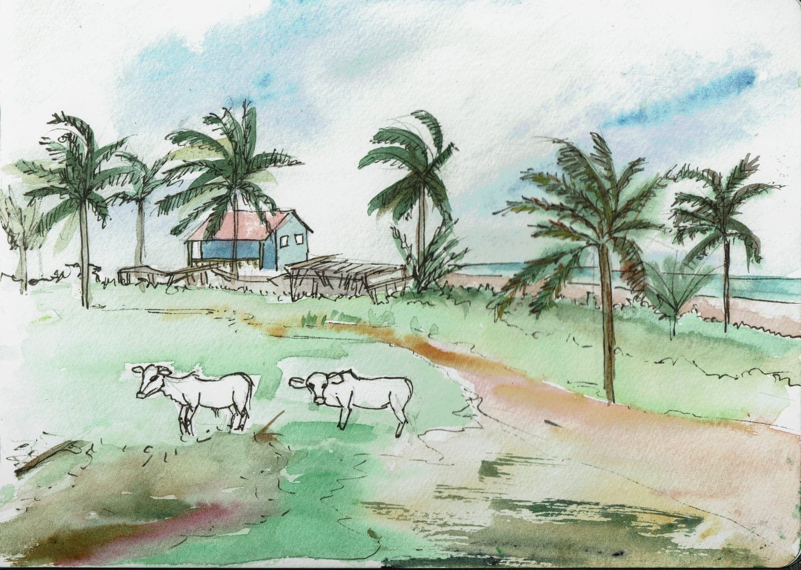 Illustration 55